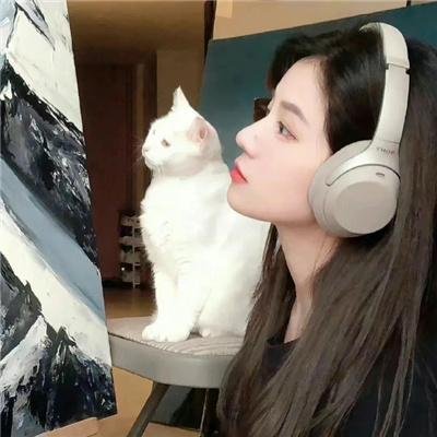 星星的轨道